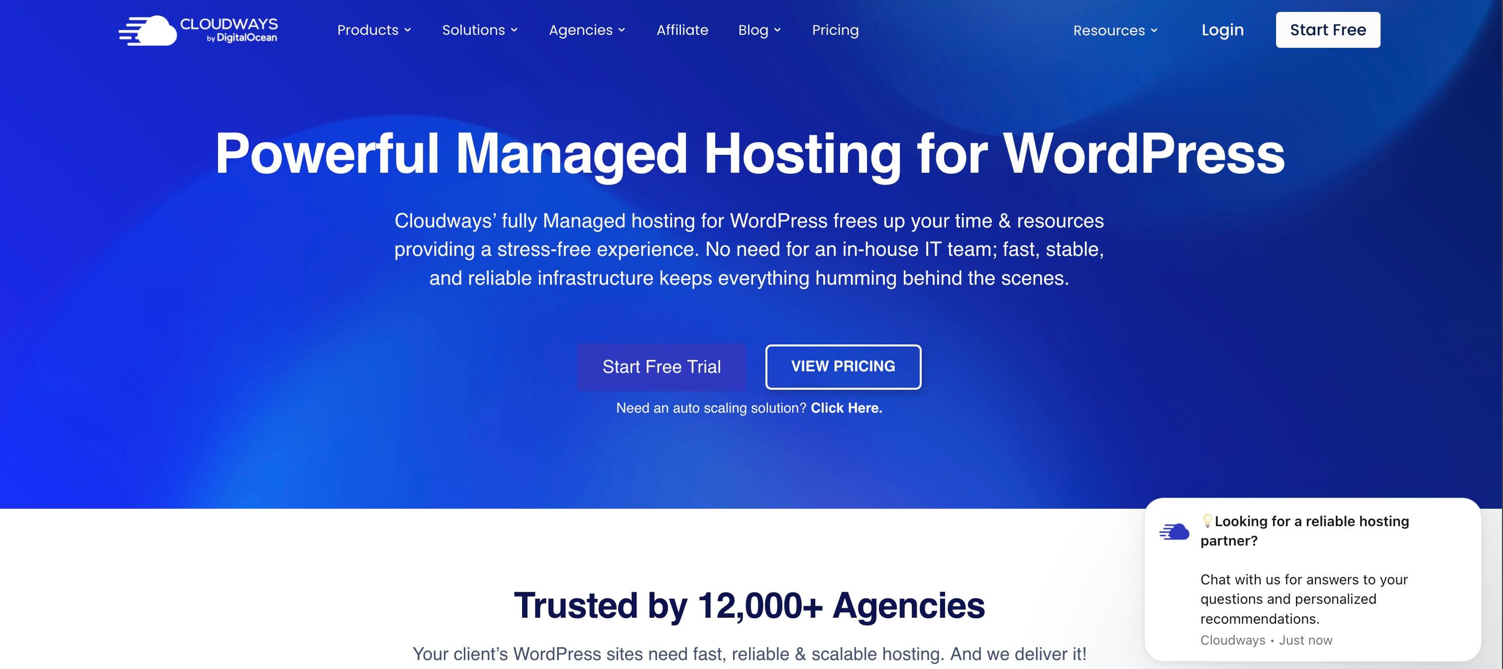 Cloudways managed WordPress hosting page showing choice of DigitalOcean, Vultr, Linode, AWS, and Google Cloud providers.