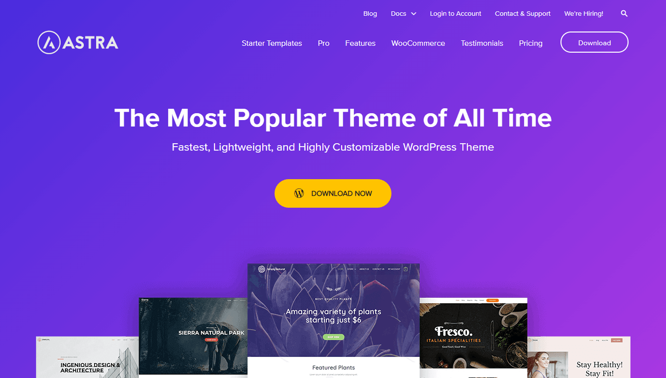 Astra theme homepage