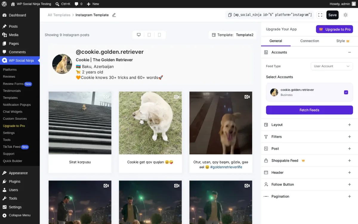 WP Social Ninja Instagram template editor with the live preview, Connection accordions on the right, and General, Connection, Style tab bar visible