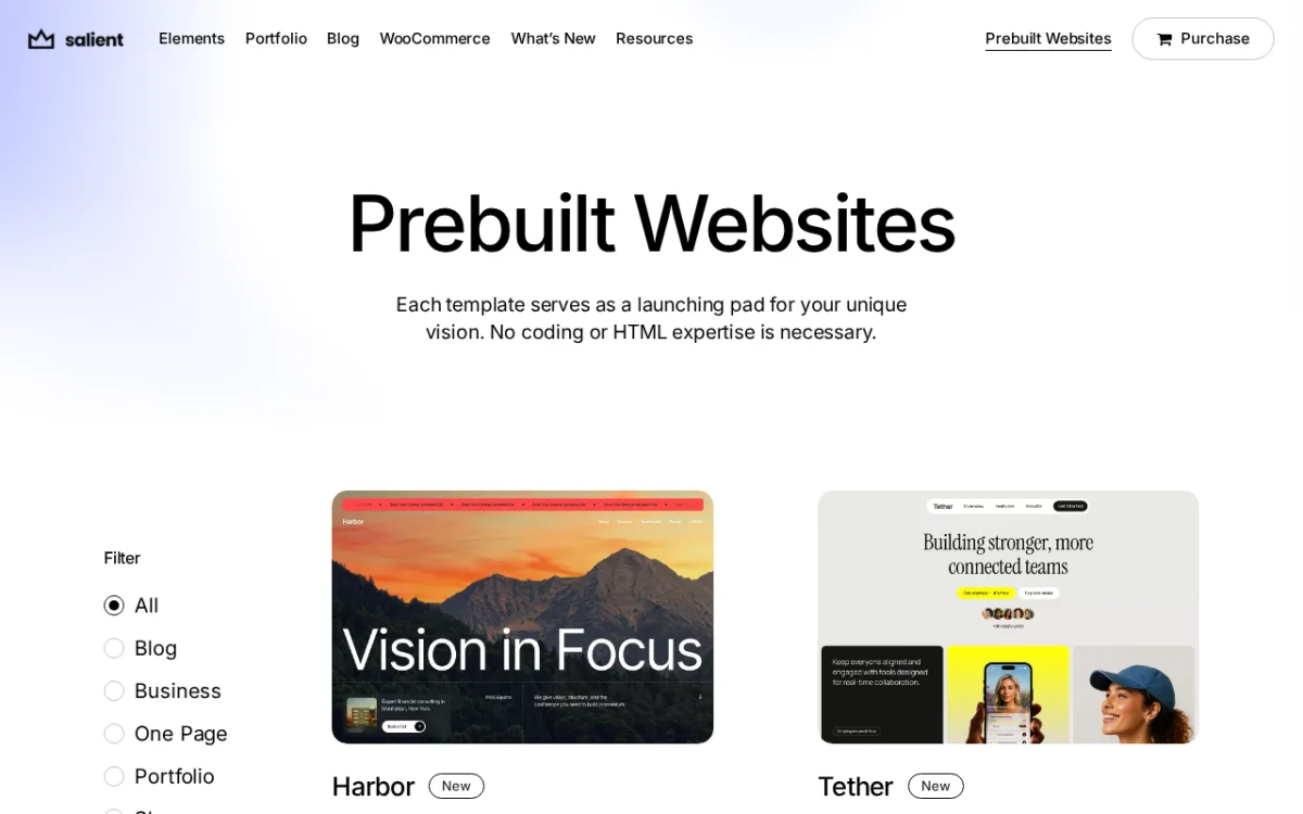 Salient prebuilt websites gallery screenshot