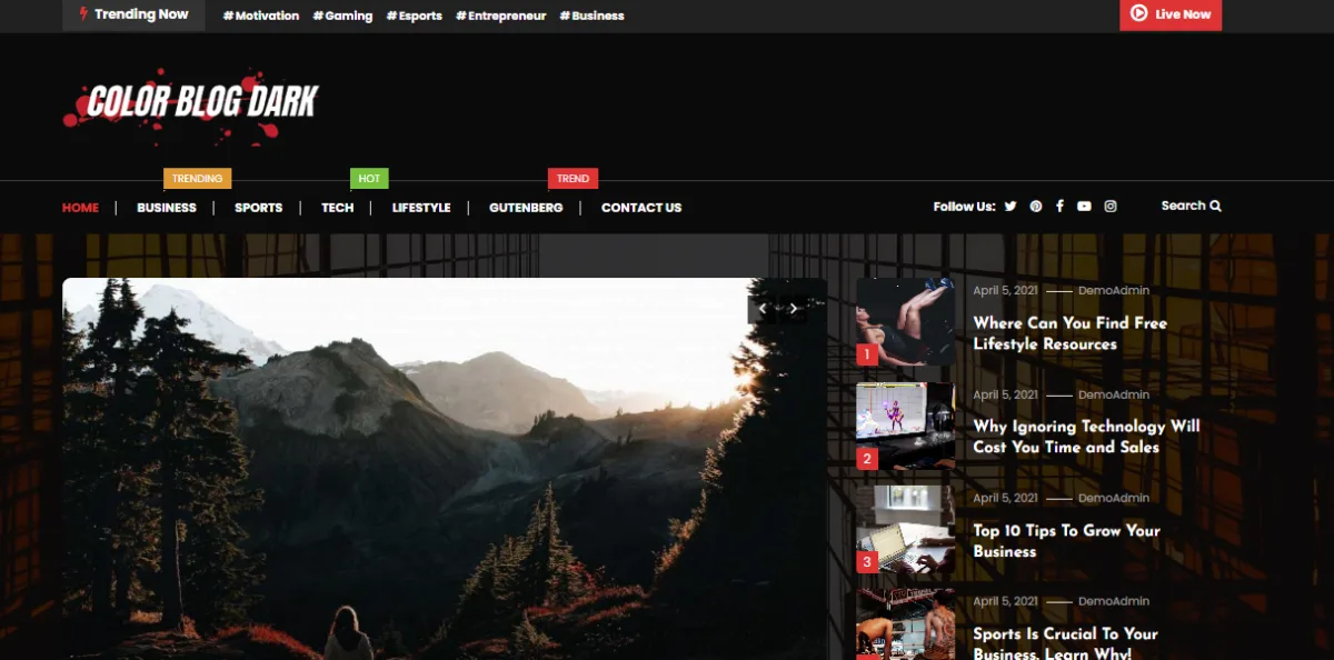 Color Blog Dark theme preview image provided by MysteryThemes
