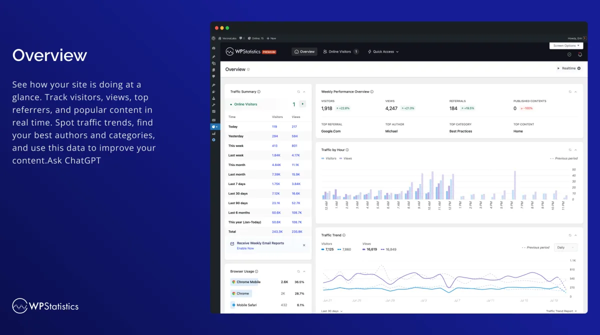 WP Statistics overview screen inside the WordPress admin showing total visitors, views, online users, traffic over time, top referrers, top pages and a search engine breakdown