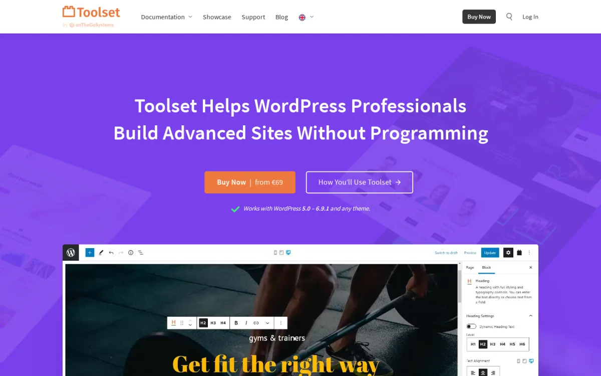 Toolset product page at toolset.com showing the Toolset wordmark, the Toolset Helps WordPress Professionals Build Advanced Sites Without Programming headline, the Buy Now / from $69 and How You'll Use Toolset call-to-action buttons, the Works with WordPress 6.6, 6.5 and any theme line, and a screenshot of the Toolset Views editor for a Get fit the right way gyms and trainers archive layout.